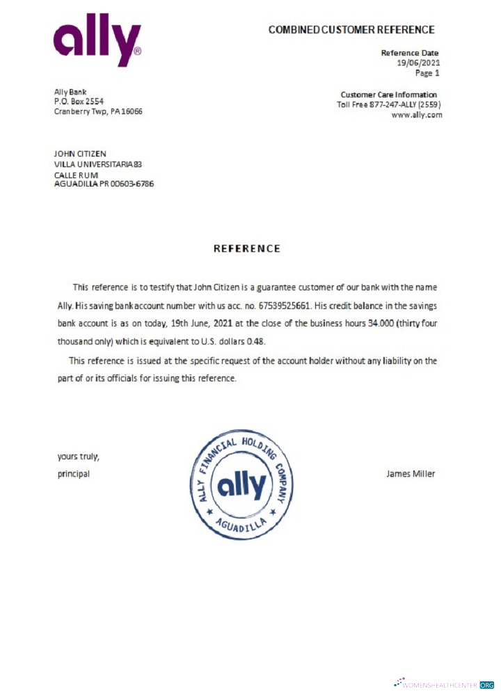 Download USA Ally reference Photoshop template